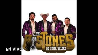 Video Los Pistones De Uriel Valdez CD En Vivo 2018 download MP3, 3GP, MP4, WEBM, AVI, FLV Juli 2018 Video Los Pistones De Uriel Valdez CD En Vivo 2018 download MP3, 3GP, MP4, WEBM, AVI, FLV Juli 2018