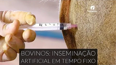 Como é feita a IATF?