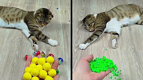 Satisfying Reverse Video ASMR 💥 Marble Run and More