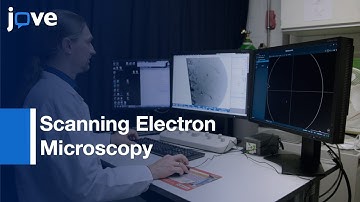 Array Tomography Workflow For Targeted Acquisition Of Volume Information l Protocol Preview