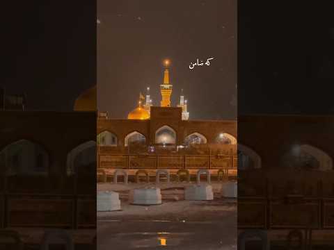 میشه ضامن منم شما بشین پیش خدا یارضا امام رضا مشهد ضامن آهو عشق دلتنگی غریب دلتنگ حرم مظلوم