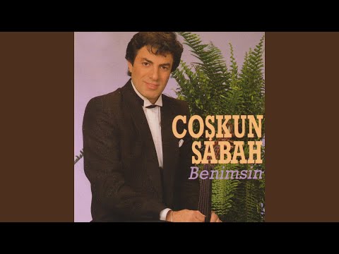 Ud Solo (Versiyon