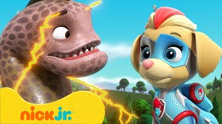 Paw Patrol - La Squadra dei Cuccioli | Mighty Pups contro gli Animali Giganti! | Nick Jr. Italia