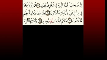 TAFSIIRKA:◇:سورة يس من ٥٥-٥٨:◇:SH:-MAXAMAD CABDI UMAL حفظه الله
