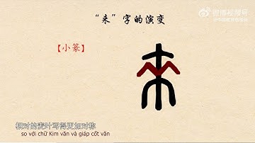 【汉字演变】“来”字演变- Diễn biến nguồn gốc Hán tự "来- Tới, đến"