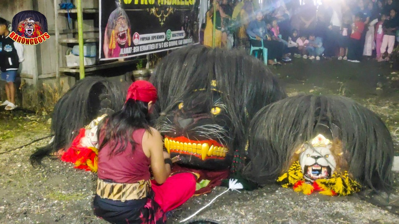 Aksi Barongan Galak Kesurupan Ngamuk | Barongan Putro Mbalelo Godong live Mudal | BarongBoys