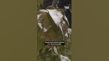 First snowfall of the season expected this weekend in Quebec and Ontario