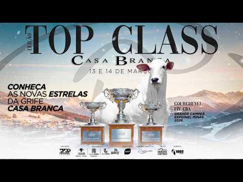 LOTE 25   EMERALD FIV CBA    CABN 1128