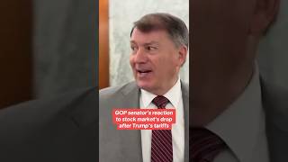 Republican Sen. Mike Rounds reacts to stock market’s performance after Trump tariff plan #shorts