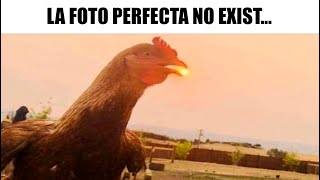 MEMES RANDOM #275 Update