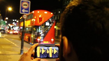 In Captivity [in Situ]