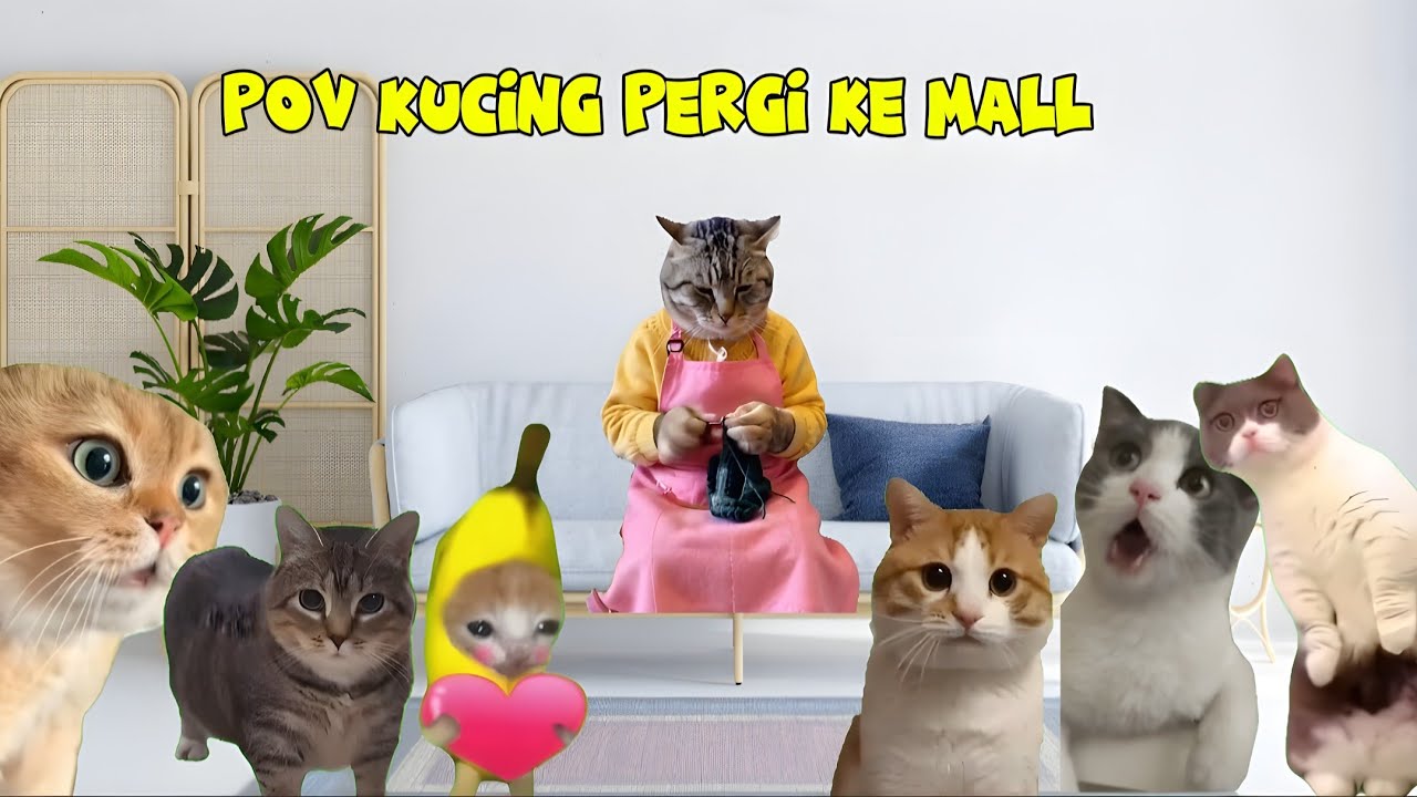 Pov Kucing Pergi ke Mall | meme kucing lucu #pov #meme #kucing #cat