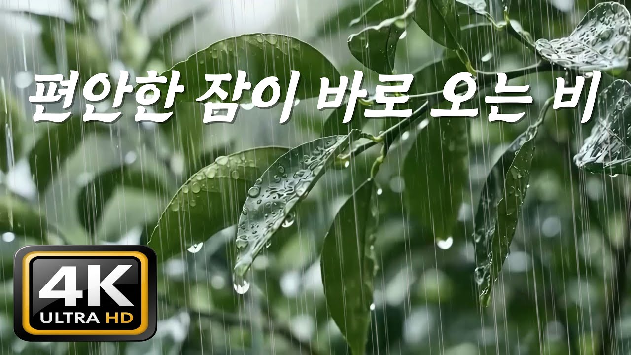 편안한 잠이 바로 오는 빗소리, [중간광고없음]10분후 검은화면, 눕자마자 딥슬립 💤불면증 치유, 입면 최적화 백색소음, ASMR