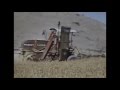 Harvesting wheat in 1960