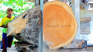 sawing teak wood with a diameter of 55 inches into boards which is good for door leaves