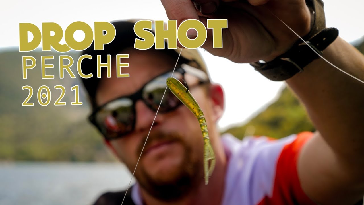 PÊCHE AU DROP SHOT !! LA TECHNIQUE FACILE POUR LA PERCHE  🎣  