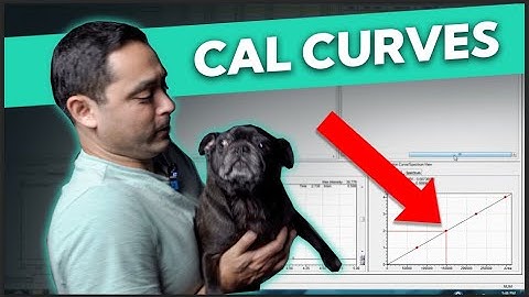 How to Create a Calibration Curve | Shimadzu Lab Solutions