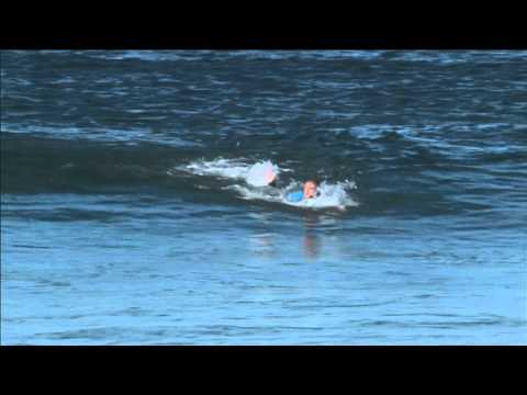 Surfer fights off shark with punches and kicks