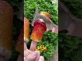 كنت بهبد عشان اجيب مقبول 😅