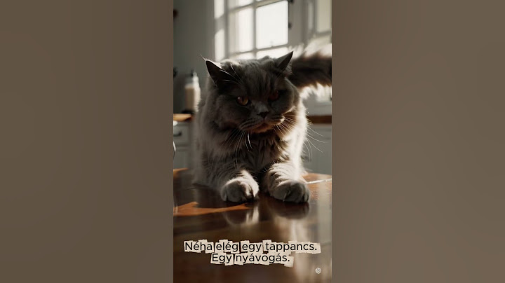 „Ő nem csak egy cica…” 💭 – A dorombolás mélyebb jelentése 🐱 #dorombolt #shorts #cicásvideó
