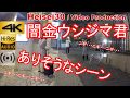 【4K ハイレゾ高音質】闇金ウシジマくん■にありそうな実写ノンフィクションドラマ■東京渋谷円山町道玄坂TOKYOSHIBUYA