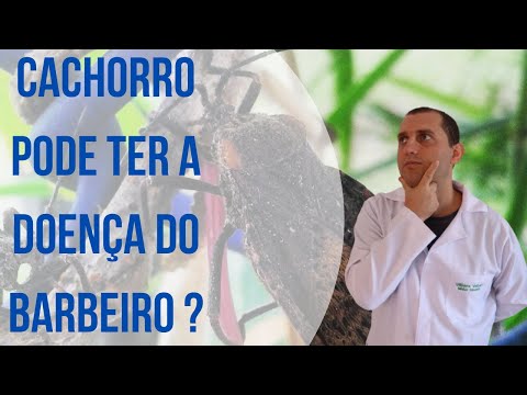 Vídeo: Pet Talk: Doença de Chagas em Cães