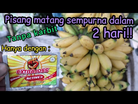 Video: Cara Membuat Buah Kering (dengan Gambar)