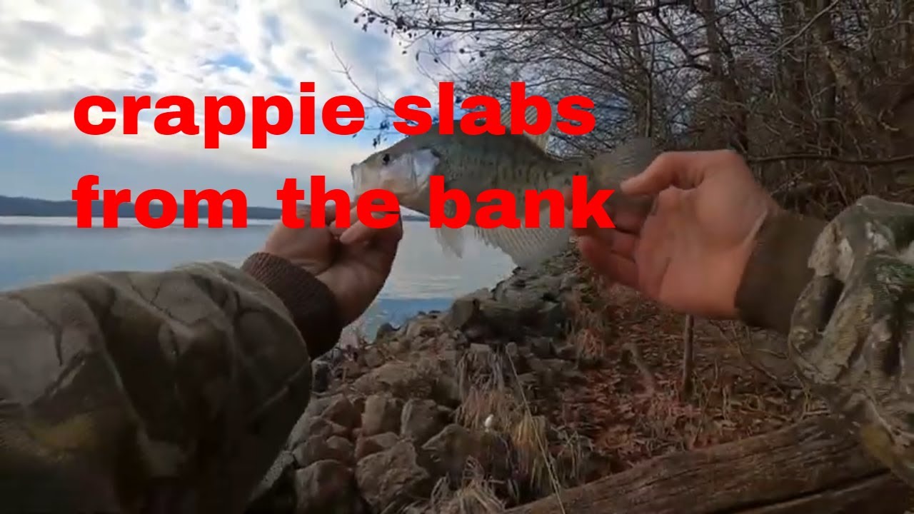 crappie madness from the bank