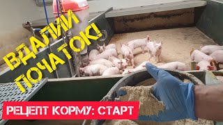 Рецепт комбікорму для поросят. Стартовий корм для поросят. Склад БМВД. Перший крок.