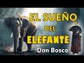 El Sueño de El Elefante de  SAN JUAN BOSCO