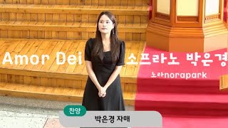 [특송] Amor Dei (구자철곡) - 소프라노 박은경 /Nora Park/ 평택한일교회