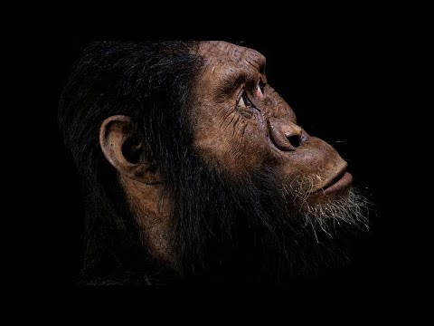 اكتشاف جمجمة إنسان قديم عاش قبل نحو 4 ملايين سنة