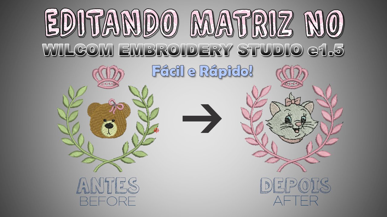 Tutorial Embroidery Studio e1.5 Editando Matriz