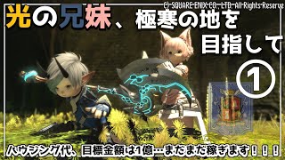 【 #FF14 】１５回目：光の兄妹、極寒の地を目指して… #光の兄妹 #ヒカセン （Gaia／Ultima）