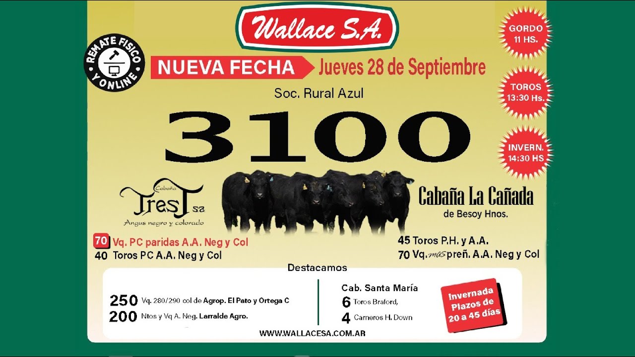 remate-28-d-septiembre-3100-vacunos-gordo-invernada-y-toros-cab