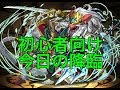 【無課金パズドラ】ラス降臨とハヌマーン降臨を攻略！【えもパズ#15】