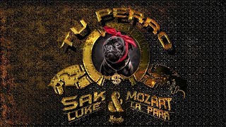 Sak Luke,  Mozart La Para - Tu Perro (Lyric Video)