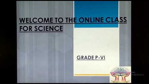 PVI SCIENCE LESSON # 66 CHAPTER # 8 EXERCISE Dated:17/8/2020