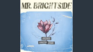 Mr. Brightside