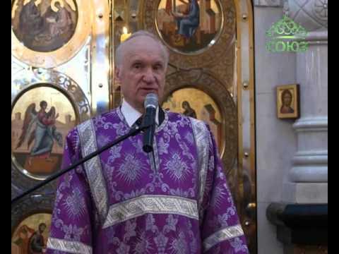 Лисичный проповеди. Проповеди профессора. Проповеди профессора. Проповеди профессора. Проповеди профессора.