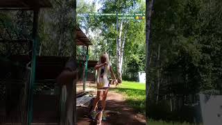 #хаски #минихаски #сибирскийхаски #западносибирскаялайка #собачки #щенки #животные #природа #собаки