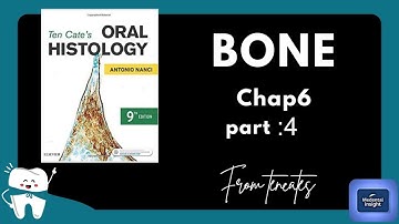Tencates oral histology of bone part 4 . Bone development and  formation @medentalinsight