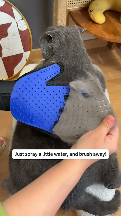 Magic Pet Grooming Glove: A must-have for fur-tastic grooming! 🐱🐶