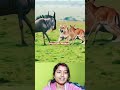 জীবনের মায়া #vairalvideo #foryou #animals #reels