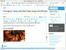 WordPress Tutorials - Change Fonts and Font Size in WordPress