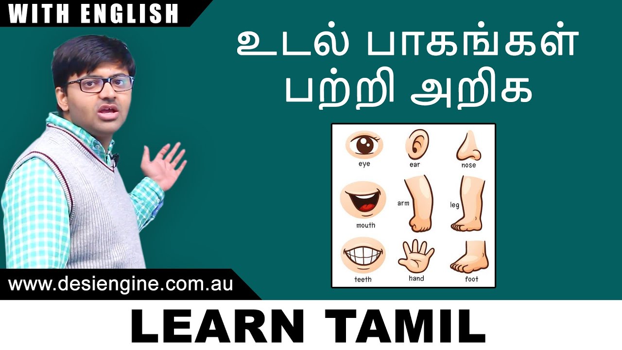 Body Parts Tamil / Body Parts Tamil Name / Human Reproductive System Simple ...