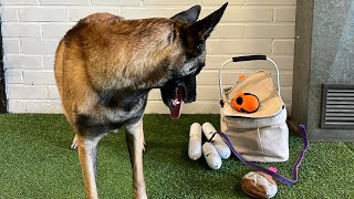 Rally-Toko Mestariluokka. Oikukas Cena Rene