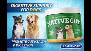 IS NATIVE GUT GOOD FOR DOGS? Full Review &amp; Buying Warning