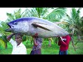100 kg sea monster bluefin tuna fish recipe  cutting and cooking world famus tasty fish village