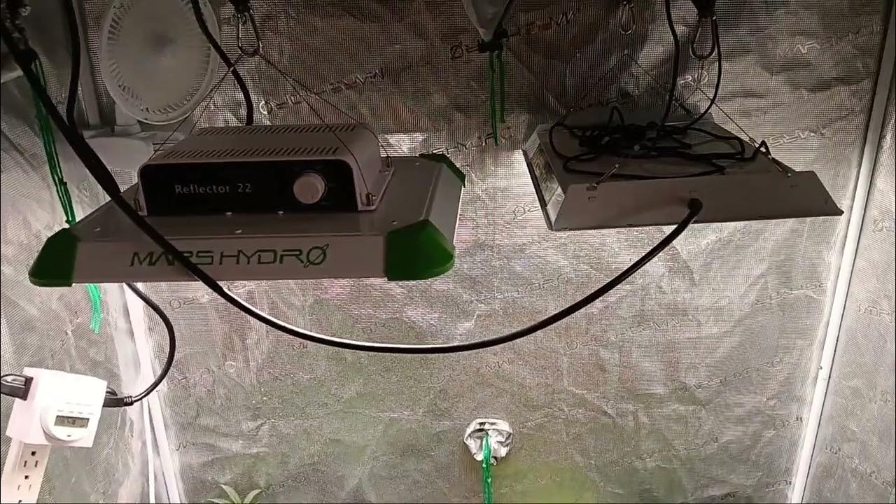 The NEW Mars Hydro Reflector 22 is AMAZING! TS600 Comparison YouTube